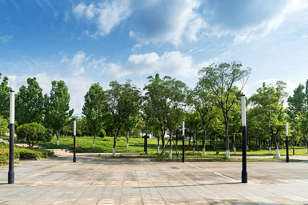 istock empty, modern square and skyscrapers in modern city 2219107890