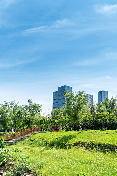 istock city park with modern building background in shanghai 2219109397