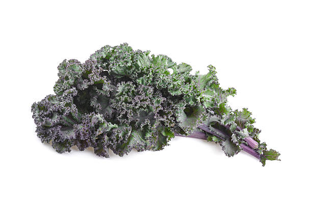 istock Fresh purple kale leaves isolated on white background 2219118438