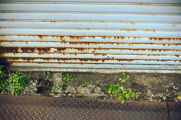 Signs of neglect: weeds at an old garage entrance\