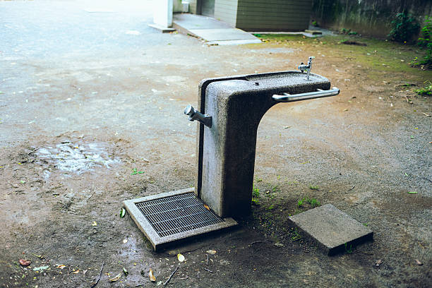 Public drinking fountain in a Japanese park\