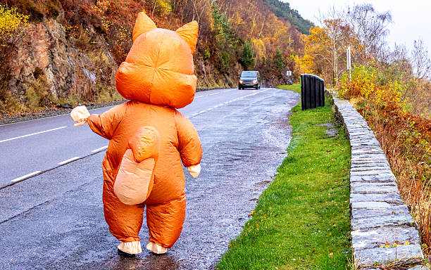 istock A Person Who Is Dressed Up In A Red Squirrel Costume 2219128462
