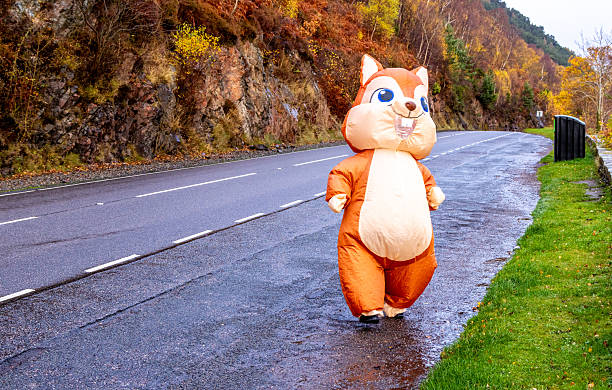 istock A Person Who Is Dressed Up In A Red Squirrel Costume 2219128498