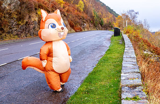istock A Person Who Is Dressed Up In A Red Squirrel Costume 2219128668