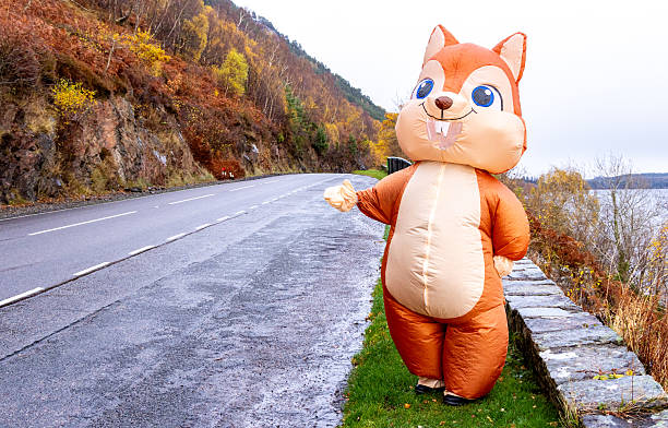 istock A Person Who Is Dressed Up In A Red Squirrel Costume 2219128820