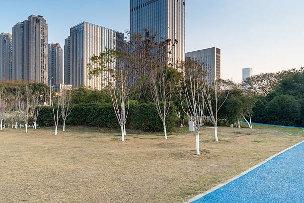 istock city park with modern building background in shanghai 2219137350