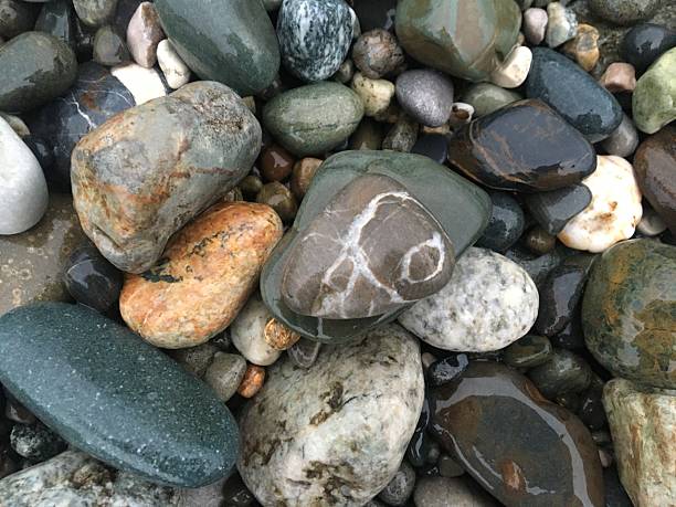 istock Colorful wet pebbles on the shore. Natural stone texture background. 2219137646