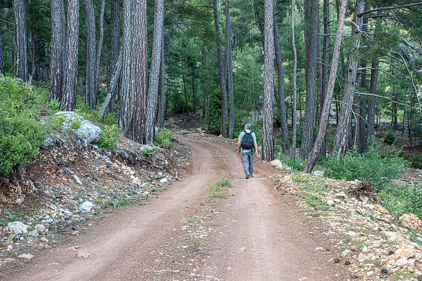 istock Man walking away with backpack on forest path in the evening 2219141528