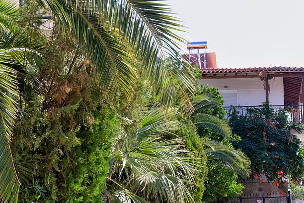 istock The photo shows a building obscured by lush greenery. 2219141733