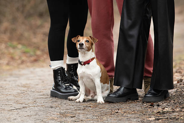 istock Three people stand on a dirt path surrounded by trees, with a small dog sitting calmly at their feet. The scene reflects a casual, relaxed outdoor moment 2219142886
