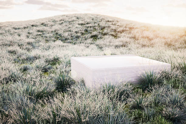 istock Natural field scene with podium 2219143628