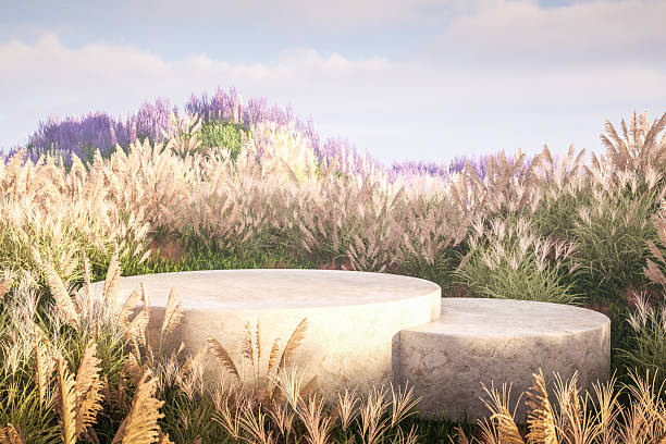 istock Natural field scene with podium 2219143647