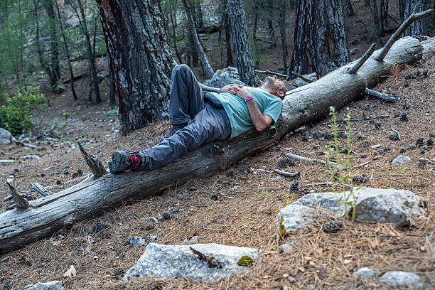 Man resting on fallen trees on a forest path in the evening