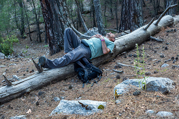 Man resting on fallen trees on a forest path in the evening