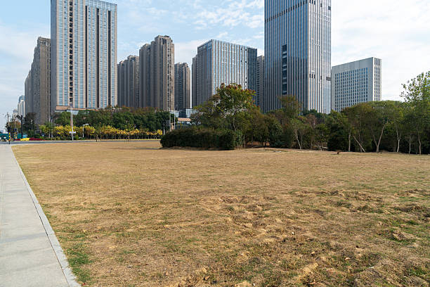 istock city park with modern building background in shanghai 2219148895