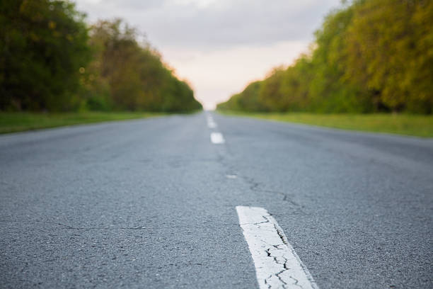 Empty asphalt road stretching into the distance between green trees on a cloudy summer day