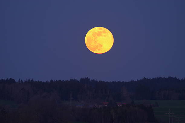 istock Large yellow moon is in the sky above a forest 2219156295