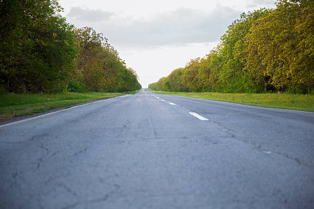 Empty asphalt road stretching into the distance between green trees