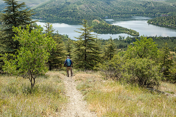 Man walking with a walking pole on a forest path with a lake view