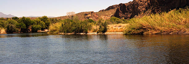istock Early Summer Salt River Recreation Area Arizona 2219160034