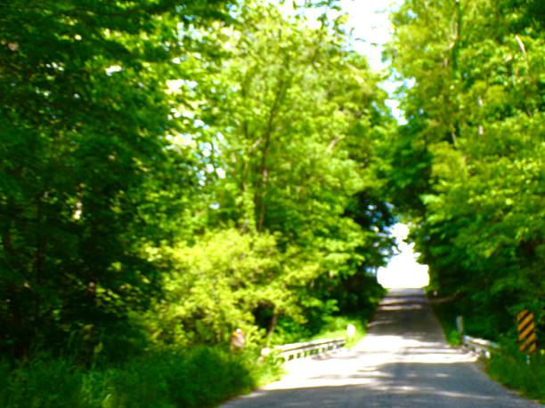 Bridge on country road with trees.