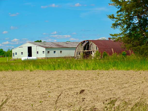 Tilted, weathered wooden house abandoned in golden prairie under clear blue Alberta sky.