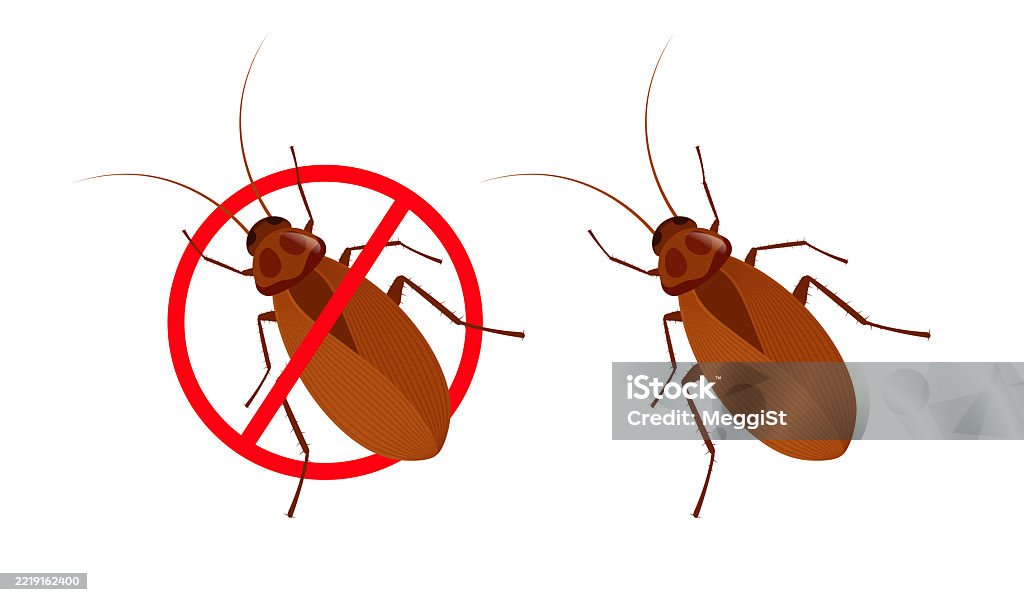 Cockroach Beware Sign Cockroach With Forbidden Sign Representing Disinfestation And Pest ...