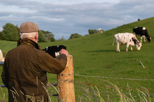 istock Mature man looking at dairy cows grazing in a field 2219166185
