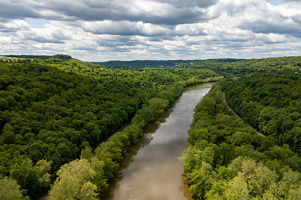 istock River flowing calmly through a wooded forest under a cloudy sky. 2219168404