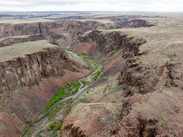 Owyhee River canyon in spring with green shrubs