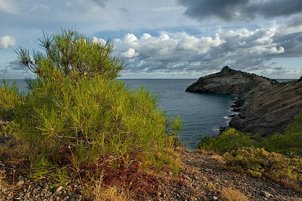 Russia, Novy Svet. Picturesque view of the Black Sea coast from the mountain in the vicinity of the famous Cape Kapchik on the Crimean peninsula.
