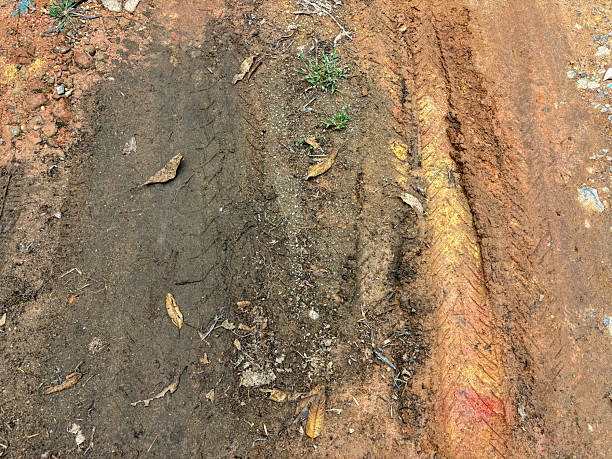 istock Muddy Dirt Road with Tire Tracks and Leaves 2219176884