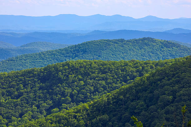 istock Views on the Blue Ridge Parkway 2219180106