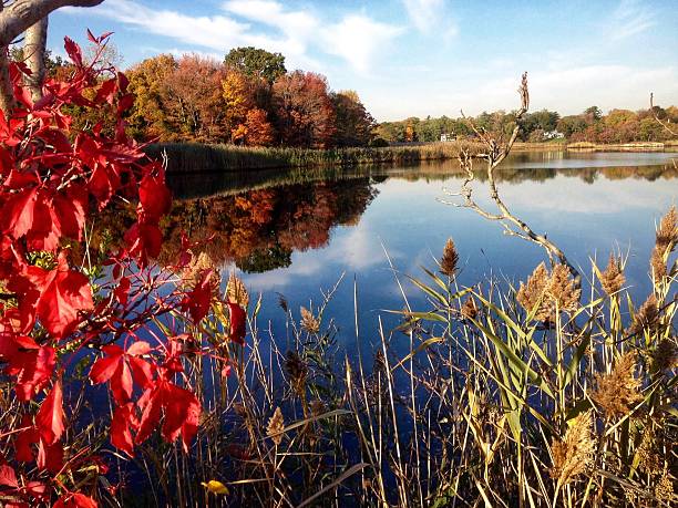 istock Reservoir with Fall Colors 2219183889