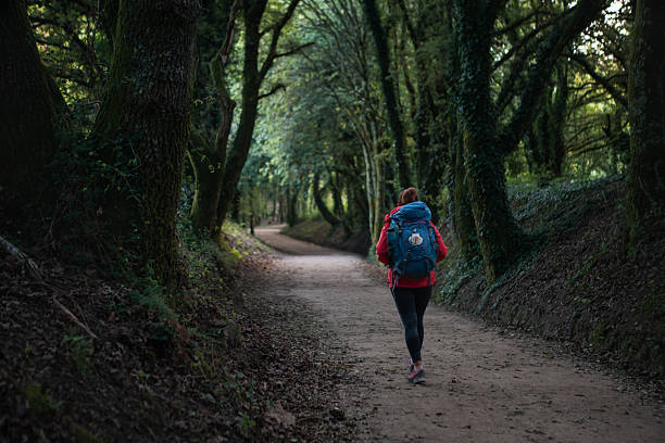 istock Back view of lonely female backpacker walking along path through forest tree tunnel. Camino Way â famous Camino de Santiago pilgrimage route. Travel, adventure, active lifestyle concept. 2219185186