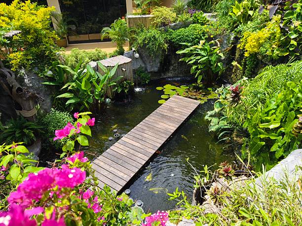 istock Serene pond complete with a beautiful waterfall and fish swimming gracefully 2219189636