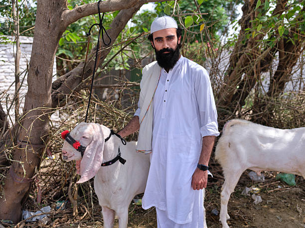 istock Muslim farmer holding goat for eid al-adha sacrifice looking at the camera 2219195941