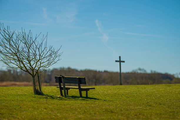Bench and tree beside wooden cross on grassy field.