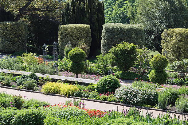 istock Colourful flower beds and shrubs in a garden in spring 2219201351