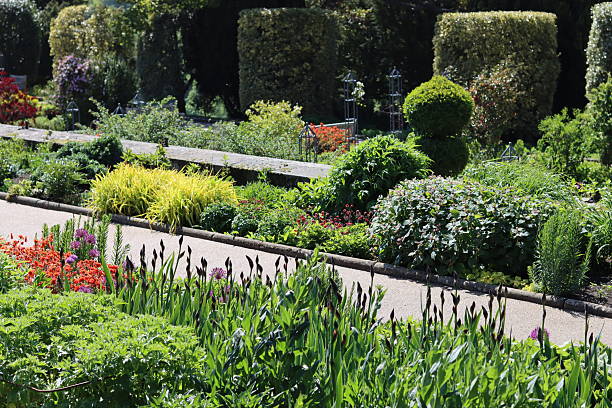 istock Colourful flower beds and shrubs in a garden in spring 2219201524