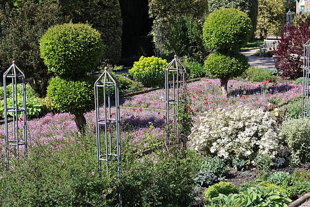 Colourful flower beds with topiary in a garden in spring