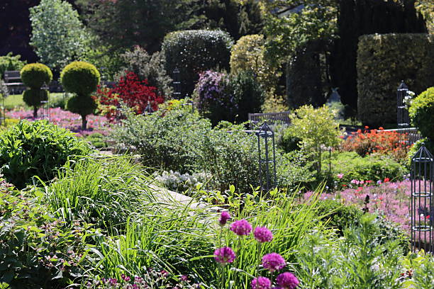 istock Colourful flower beds and shrubs in a garden in spring 2219205416