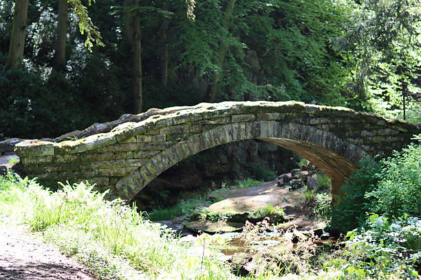 istock Stone bridge over a woodland river 2219206580