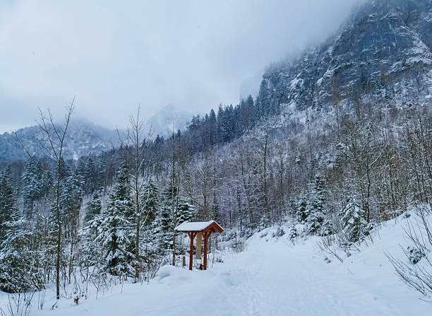 Hiking Trail on Lake Frillensee Inzell Germany