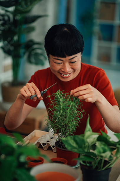 Woman taking care of plants at home using scissors