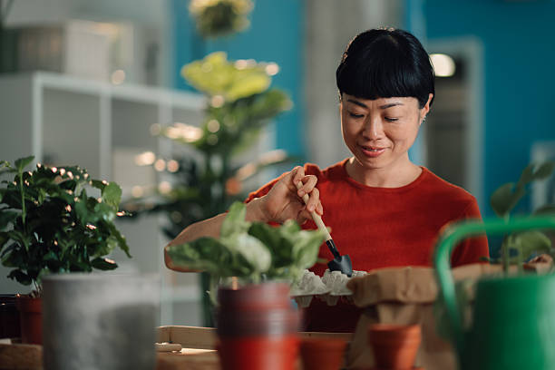 istock Woman repotting plants at home using eco-friendly materials 2219216249
