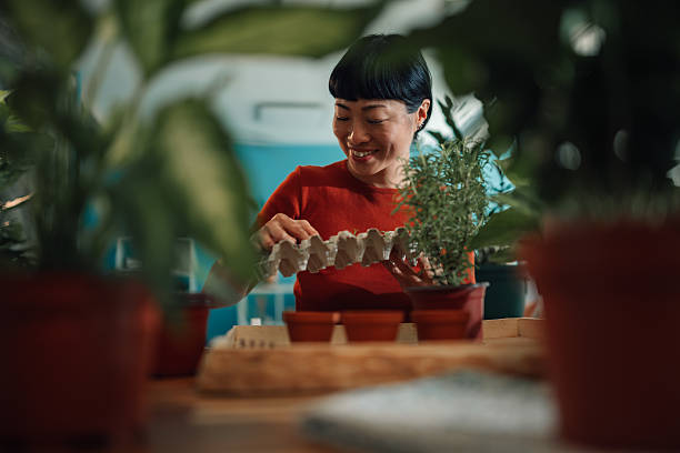 istock Woman repurposing egg carton for seed starting indoors 2219216318