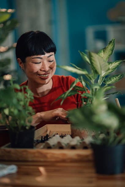 istock Woman repotting plants at home smiling at camera 2219216413