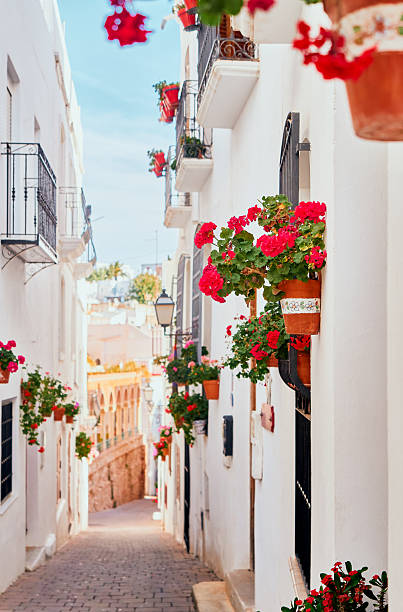 istock Flower pot white house street town 2219219086