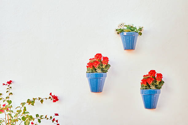 istock Flower pot hanging on a wall 2219219110
